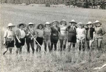 Mondine-Pontogliesi-e-meridionali-anni-50